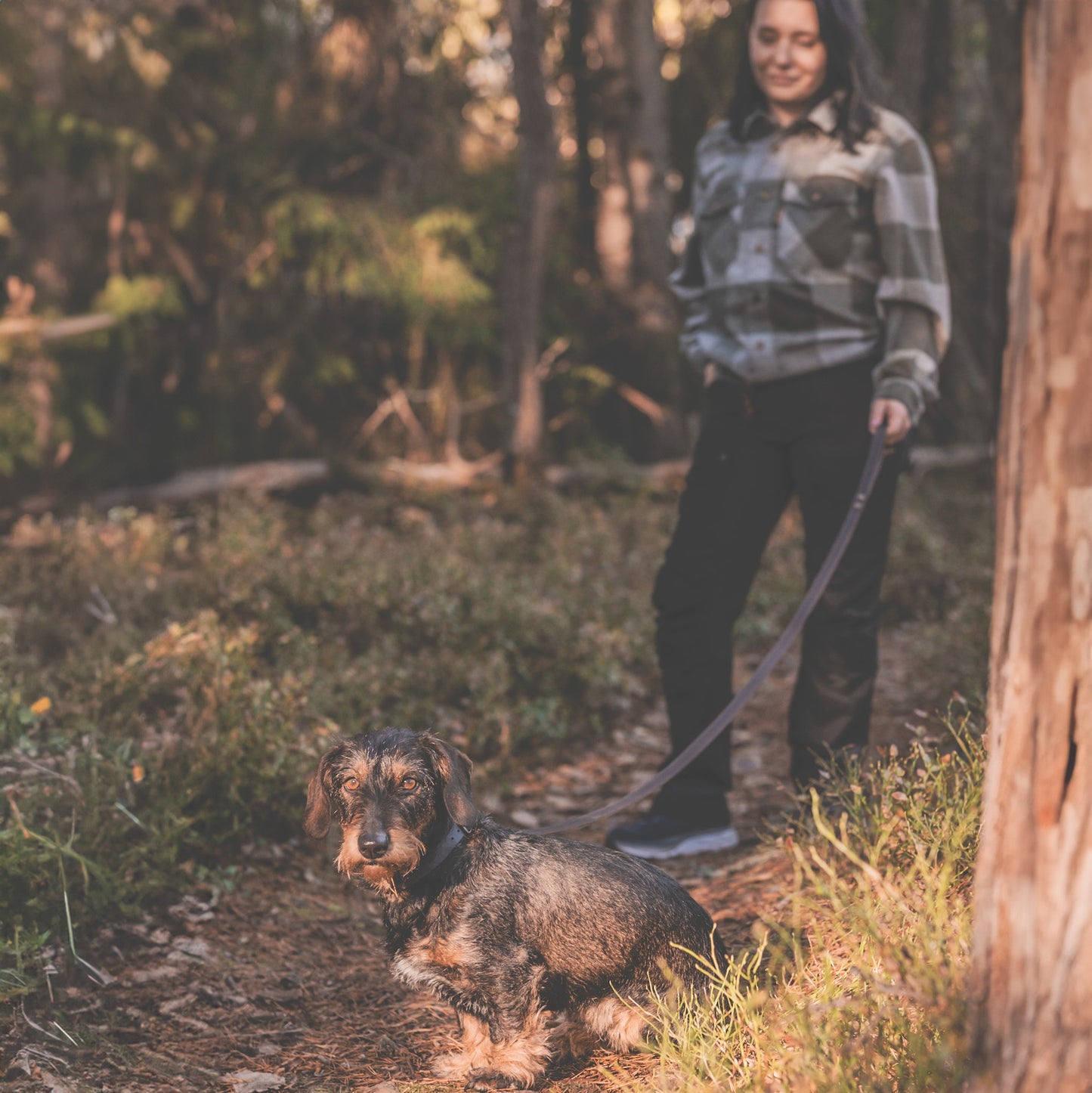 Rosellis finnish handmade leather dog leash with handle, perfect for hunters.