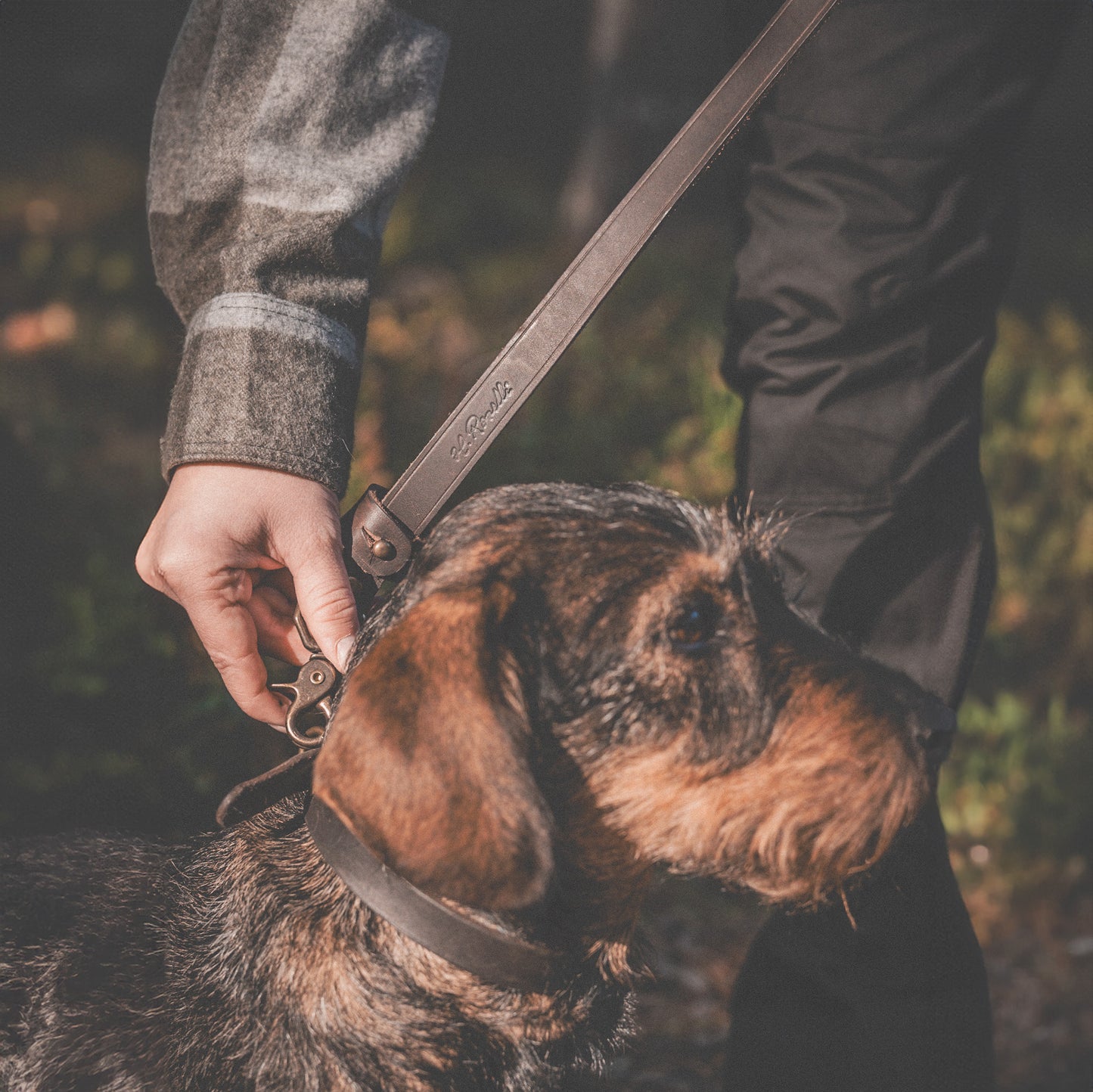 Roselli's dog leash made from genuine leather from Tärnsjö, Sweden. Practical hand loop and metal buckle.